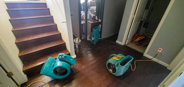 Best Water damage cleanup near me  in Marion, TX