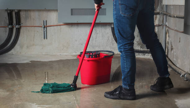 Best Flood damage cleanup  in Marion, TX
